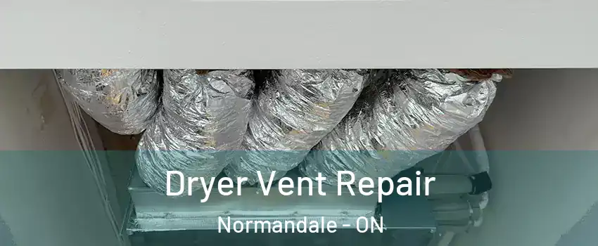  Dryer Vent Repair Normandale - ON