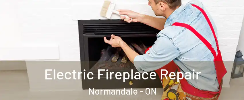  Electric Fireplace Repair Normandale - ON