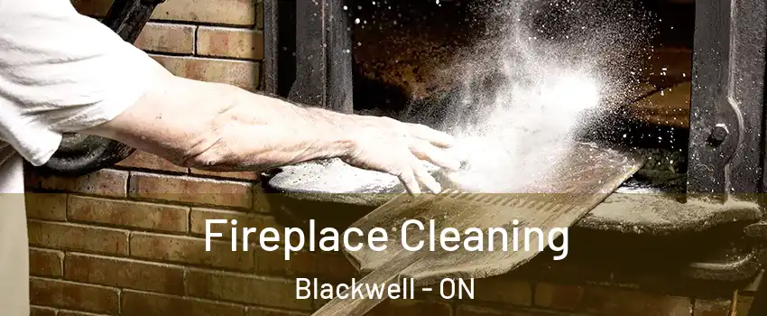  Fireplace Cleaning Blackwell - ON