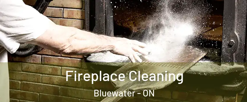  Fireplace Cleaning Bluewater - ON
