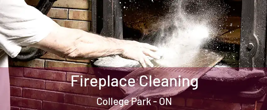  Fireplace Cleaning College Park - ON