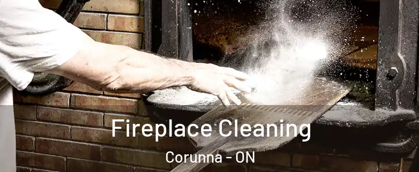  Fireplace Cleaning Corunna - ON