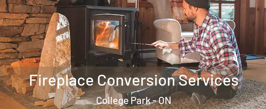  Fireplace Conversion Services College Park - ON