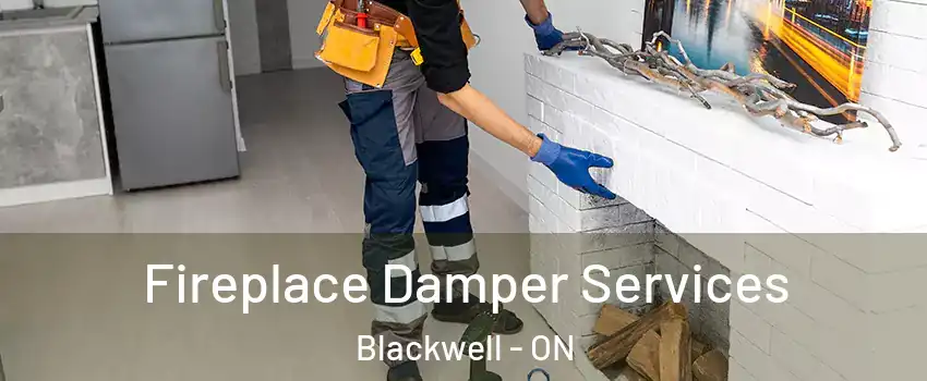  Fireplace Damper Services Blackwell - ON