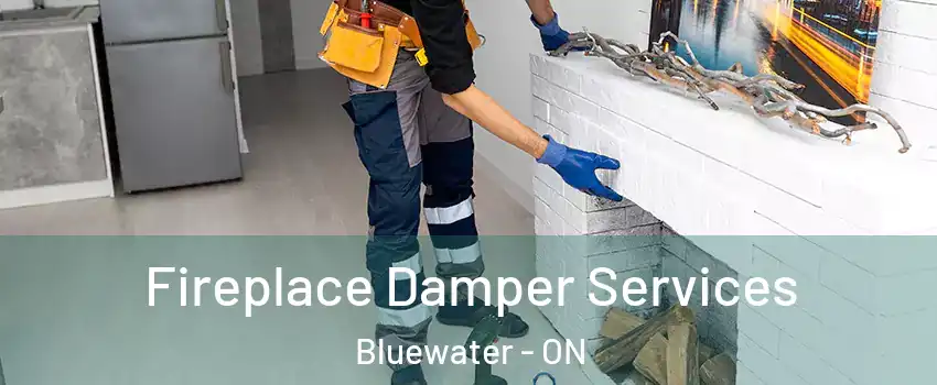  Fireplace Damper Services Bluewater - ON
