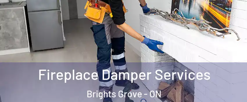  Fireplace Damper Services Brights Grove - ON