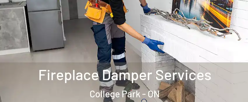  Fireplace Damper Services College Park - ON