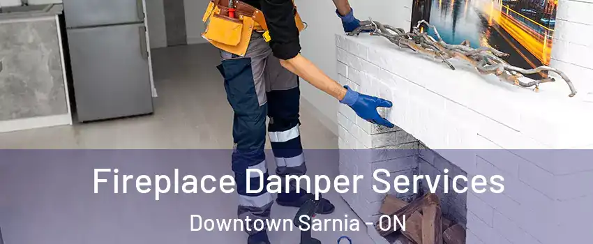  Fireplace Damper Services Downtown Sarnia - ON