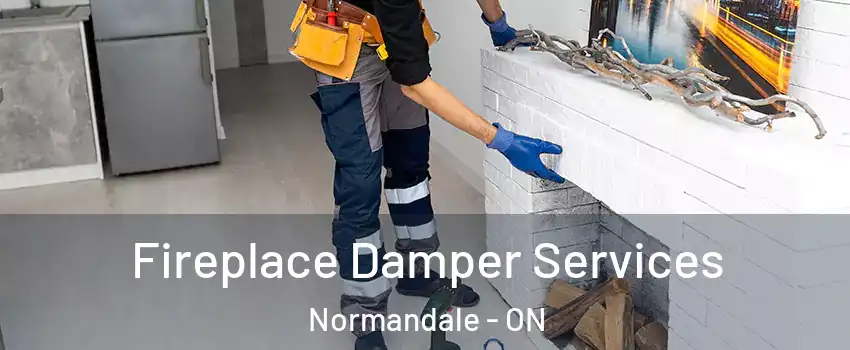  Fireplace Damper Services Normandale - ON