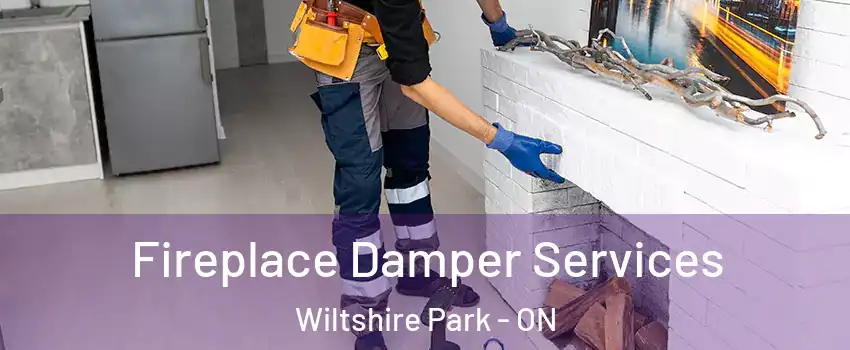  Fireplace Damper Services Wiltshire Park - ON