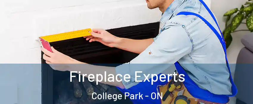  Fireplace Experts College Park - ON