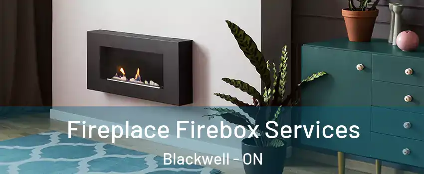  Fireplace Firebox Services Blackwell - ON