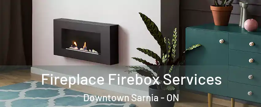  Fireplace Firebox Services Downtown Sarnia - ON