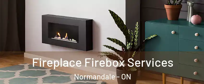  Fireplace Firebox Services Normandale - ON