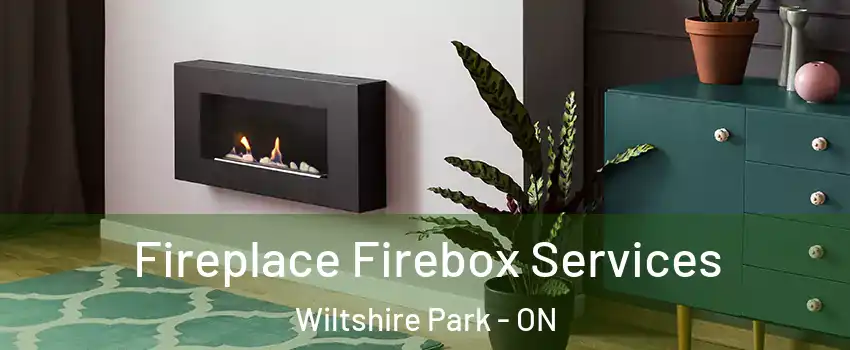  Fireplace Firebox Services Wiltshire Park - ON
