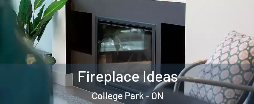  Fireplace Ideas College Park - ON