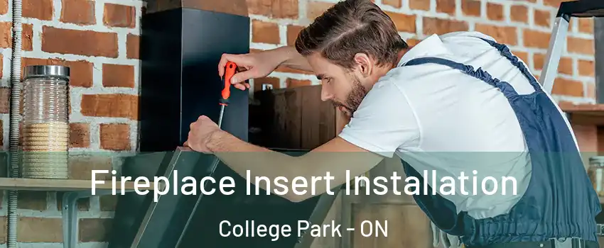  Fireplace Insert Installation College Park - ON