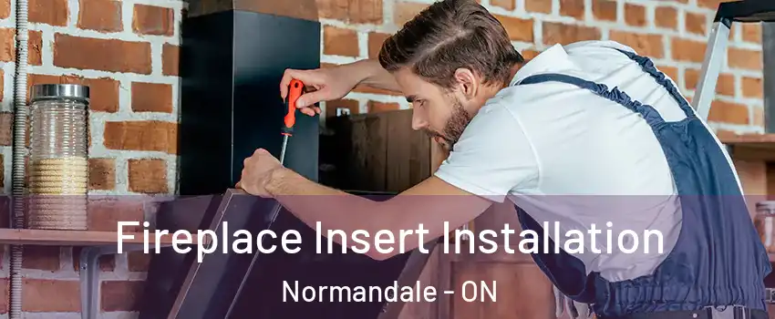  Fireplace Insert Installation Normandale - ON