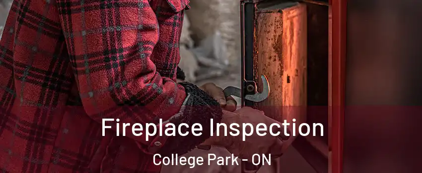  Fireplace Inspection College Park - ON