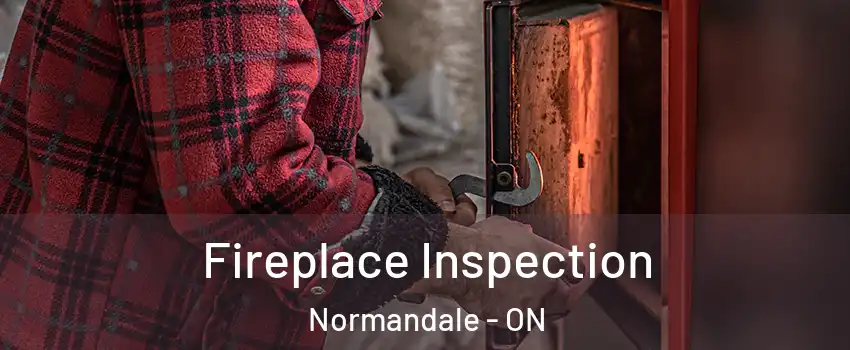  Fireplace Inspection Normandale - ON