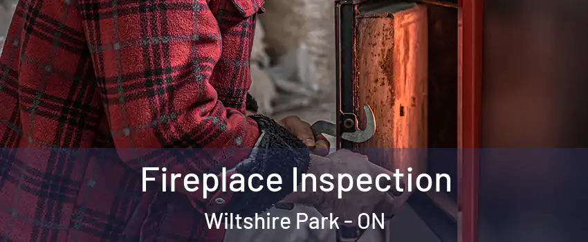  Fireplace Inspection Wiltshire Park - ON