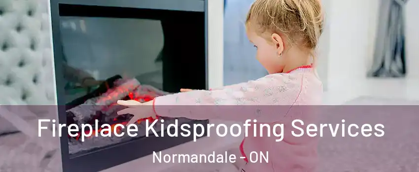  Fireplace Kidsproofing Services Normandale - ON