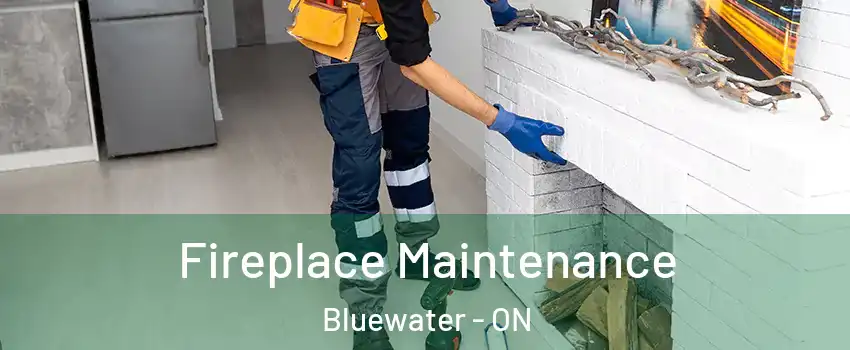 Fireplace Maintenance Bluewater - ON
