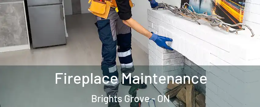  Fireplace Maintenance Brights Grove - ON