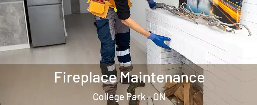  Fireplace Maintenance College Park - ON