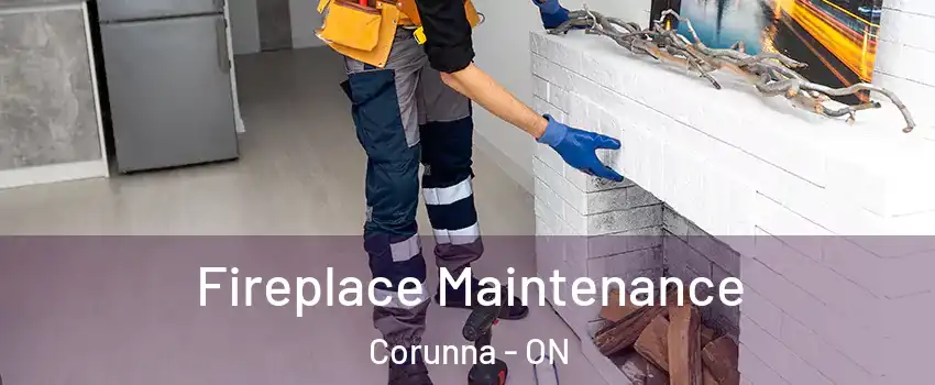  Fireplace Maintenance Corunna - ON