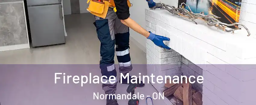  Fireplace Maintenance Normandale - ON
