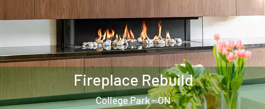  Fireplace Rebuild College Park - ON