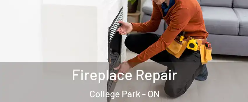  Fireplace Repair College Park - ON