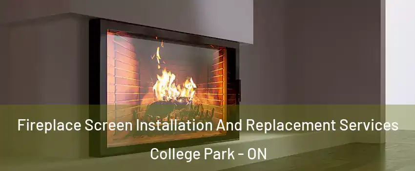  Fireplace Screen Installation And Replacement Services College Park - ON