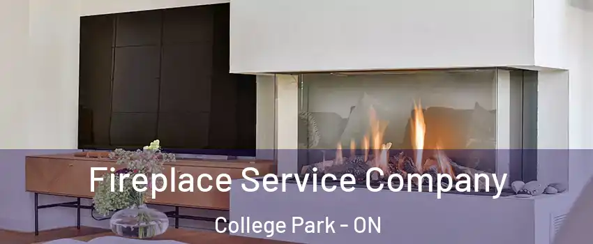  Fireplace Service Company College Park - ON
