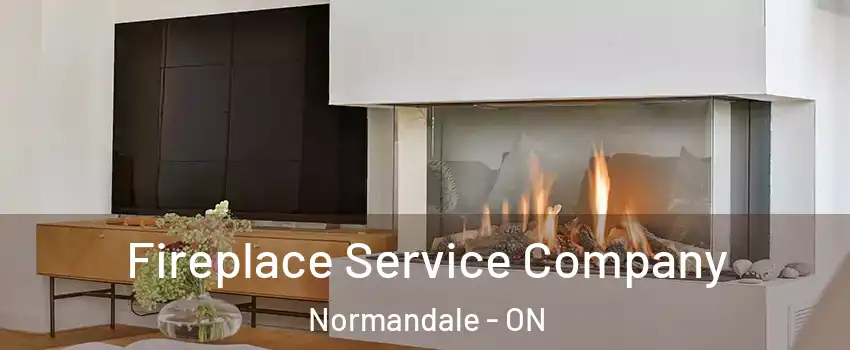  Fireplace Service Company Normandale - ON
