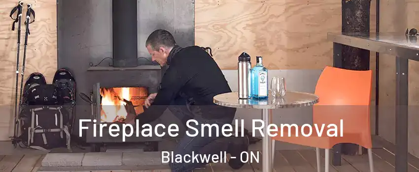  Fireplace Smell Removal Blackwell - ON