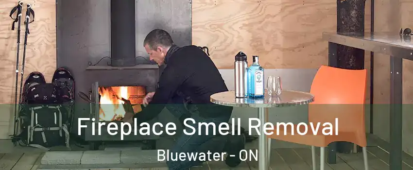  Fireplace Smell Removal Bluewater - ON