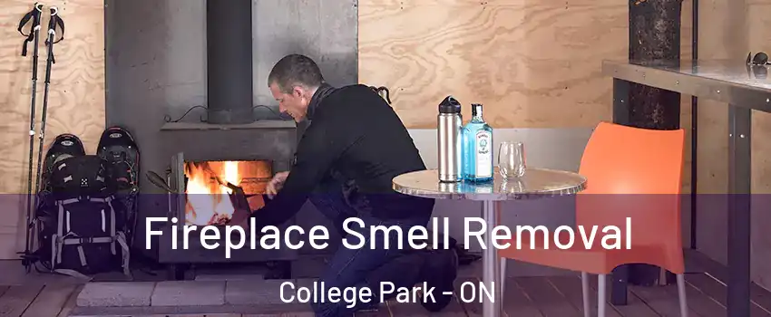  Fireplace Smell Removal College Park - ON