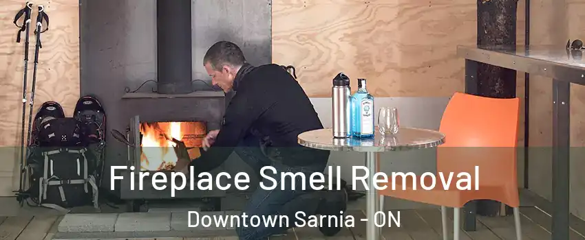  Fireplace Smell Removal Downtown Sarnia - ON