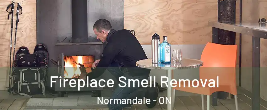  Fireplace Smell Removal Normandale - ON