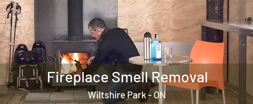  Fireplace Smell Removal Wiltshire Park - ON