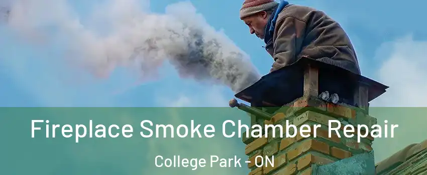  Fireplace Smoke Chamber Repair College Park - ON