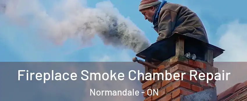  Fireplace Smoke Chamber Repair Normandale - ON