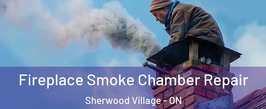  Fireplace Smoke Chamber Repair Sherwood Village - ON