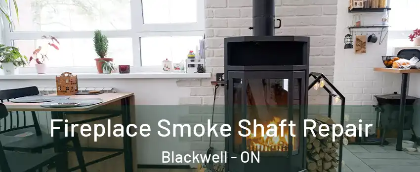  Fireplace Smoke Shaft Repair Blackwell - ON
