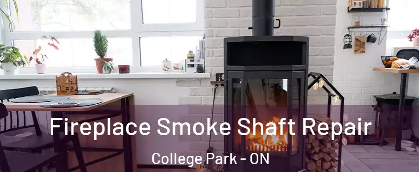  Fireplace Smoke Shaft Repair College Park - ON