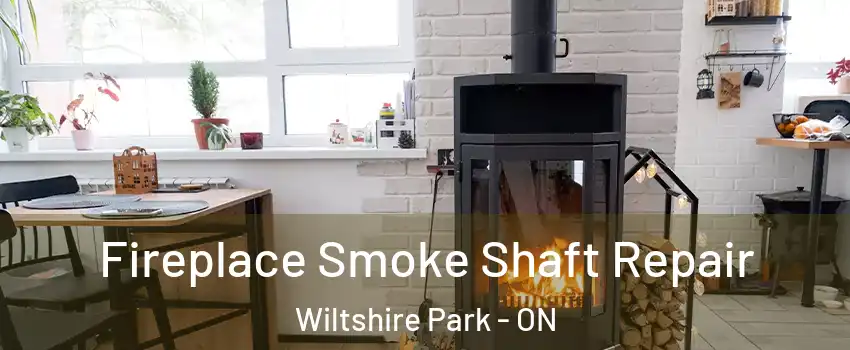  Fireplace Smoke Shaft Repair Wiltshire Park - ON