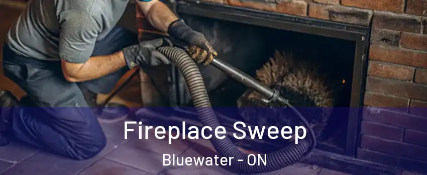 Fireplace Sweep Bluewater - ON