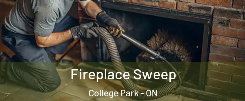 Fireplace Sweep College Park - ON